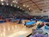 p1030566