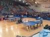 p1030584